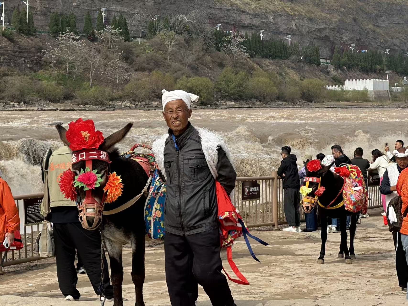 壶口瀑布骑毛驴特色体验