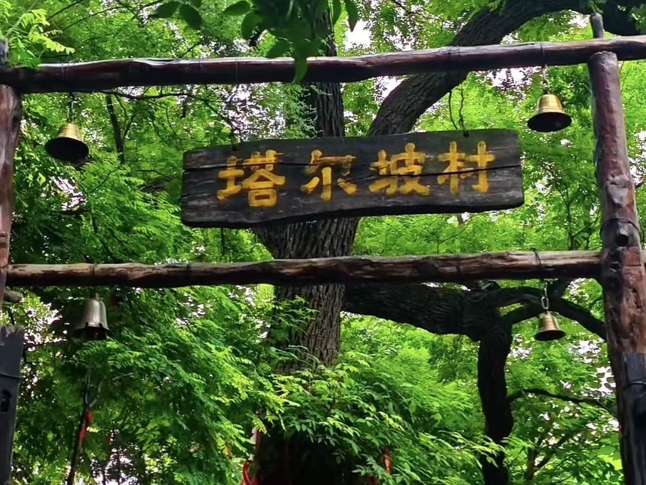 临汾到云丘山游玩实拍
